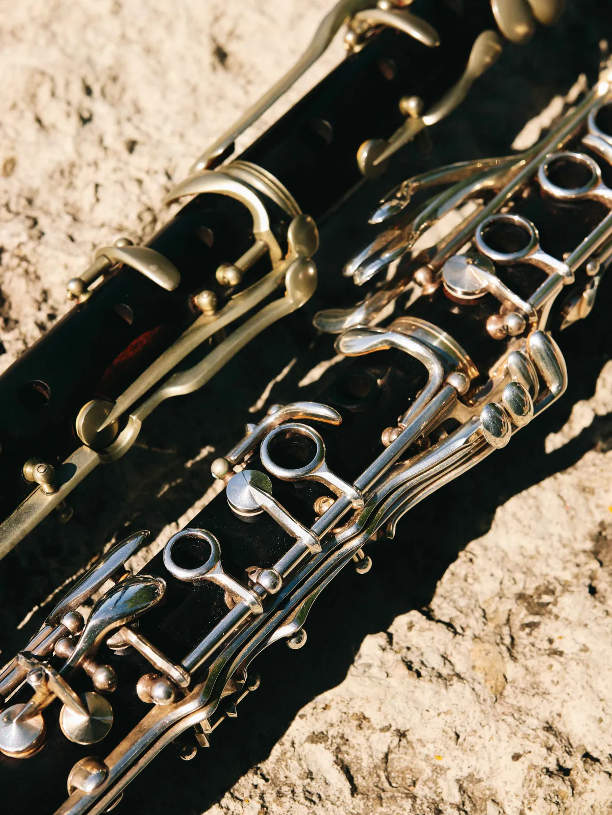 Dettaglio delle chiavi di due clarinetti appoggiati su una roccia